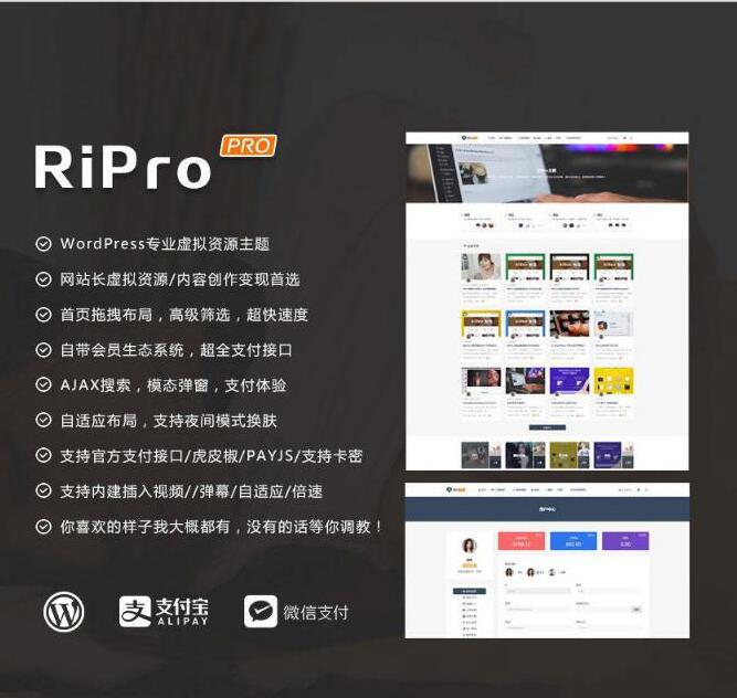 最新WP+RiPro主题PJ版 功能强大-星辰源码网