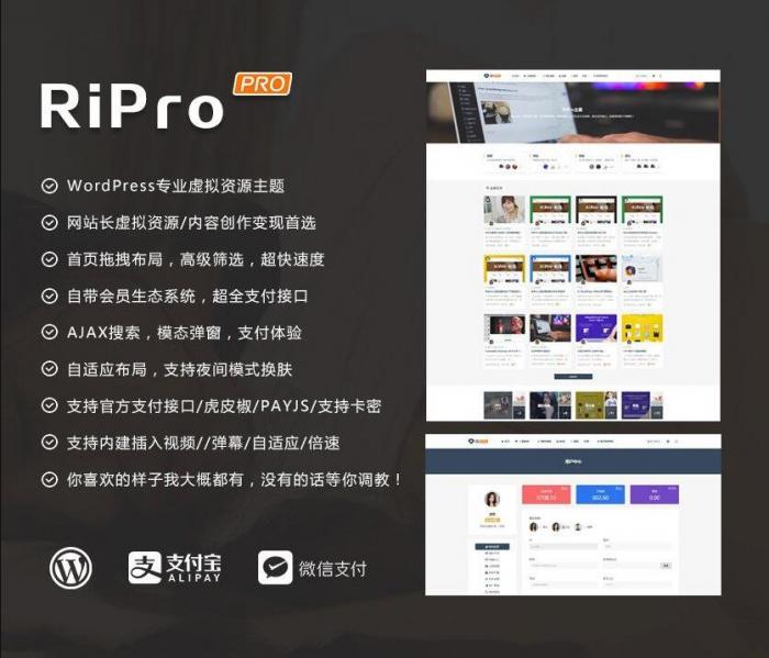 RIPro主题 v7.2 免授权修复后门完美版-星辰源码网