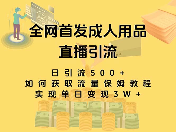 最新全网独创首发，成人用品直播引流获客暴力玩法，单日变现3w保姆级教程-星辰源码网