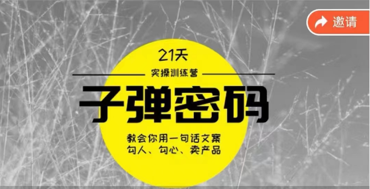 《子弹密码训练营》用一句话文案勾人勾心卖产品，21天学到顶尖文案大师策略和技巧-星辰源码网