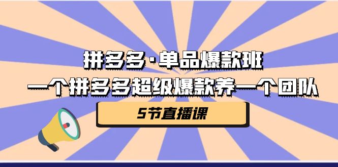 拼多多·单品爆款班，一个拼多多超级爆款养一个团队（5节直播课）-星辰源码网