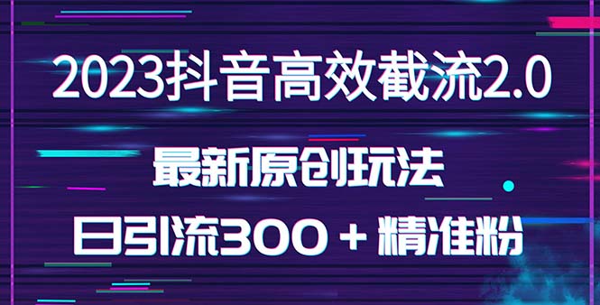 日引300＋创业粉，独家抖音高效截流2.0玩法（价值1280）-星辰源码网