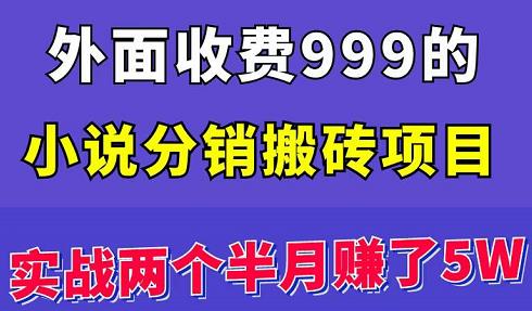 外面收费999的小说分销搬砖项目：实战两个半月赚了5W块，操作简单！￼-星辰源码网