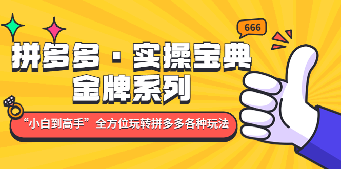 拼多多·实操宝典：金牌系列“小白到高手”带你全方位玩转拼多多各种玩法-星辰源码网