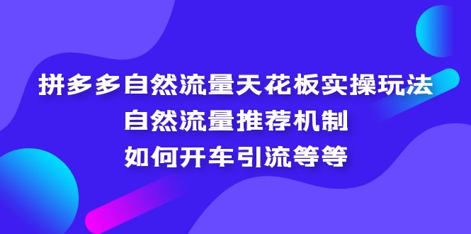 拼多多自然流量天花板实操玩法：自然流量推荐机制，如何开车引流等等-星辰源码网