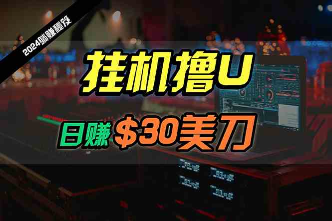 （10013期）日赚30美刀，2024最新海外挂机撸U内部项目，全程无人值守，可批量放大-星辰源码网