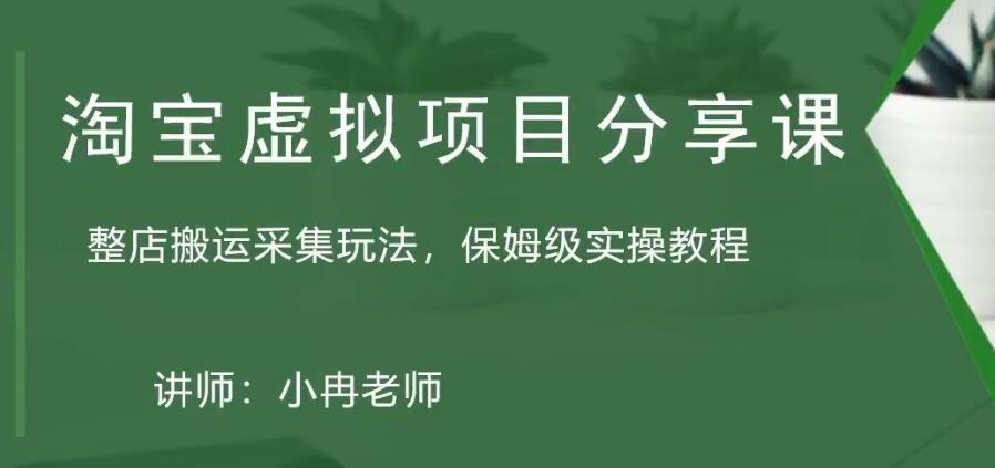 淘宝虚拟整店搬运采集玩法分享课：整店搬运采集玩法，保姆级实操教程-星辰源码网