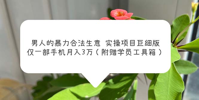 男人的暴力合法生意实操项目巨细版：仅一部手机月入3w（附赠学员工具箱）-星辰源码网