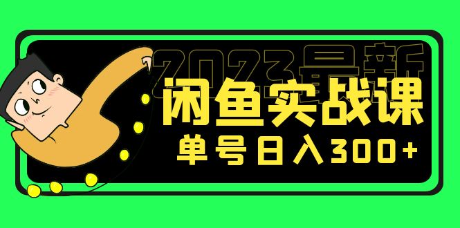 花599买的闲鱼项目：2023最新闲鱼实战课，单号日入300+（7节课）-星辰源码网