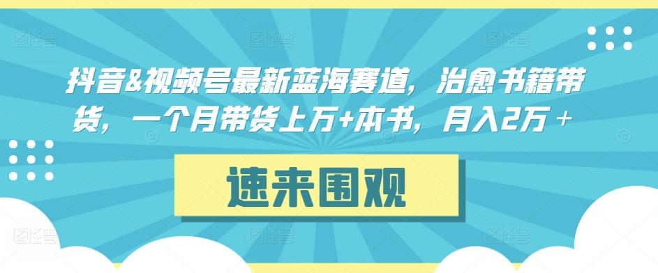 抖音&视频号最新蓝海赛道，治愈书籍带货，一个月带货上万+本书，月入2万＋-星辰源码网