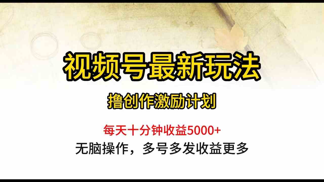 （10087期）视频号最新玩法，每日一小时月入5000+-星辰源码网