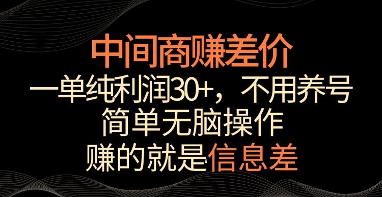 中间商赚差价，一单纯利润30+，简单无脑操作，赚的就是信息差，轻轻松松日入1000+【揭秘】-星辰源码网