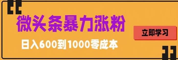 微头条暴力涨粉技巧搬运文案就能涨几万粉丝，简单0成本，日赚600-星辰源码网