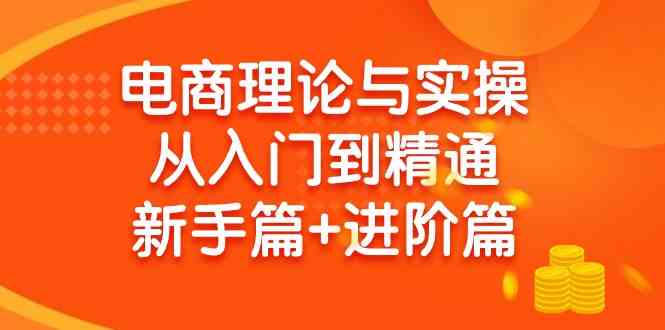 （9576期）电商理论与实操从入门到精通 新手篇+进阶篇-星辰源码网