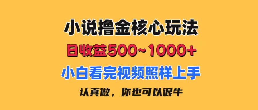 小说撸金核心玩法，日收益500-1000+，小白看完照样上手，0成本有手就行-星辰源码网