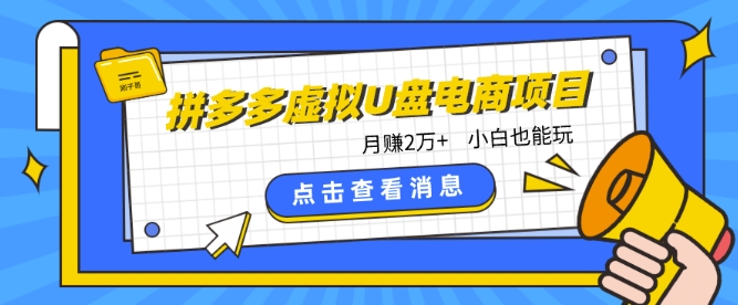 拼多多虚拟U盘电商红利项目：月赚2万+，新手小白也能玩-星辰源码网