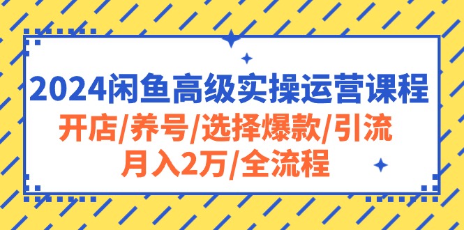 （10711期）2024闲鱼高级实操运营课程：开店/养号/选择爆款/引流/月入2万/全流程-星辰源码网