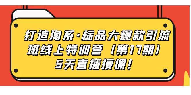 打造淘系·标品大爆款引流班线上特训营（第17期）5天直播授课！-星辰源码网