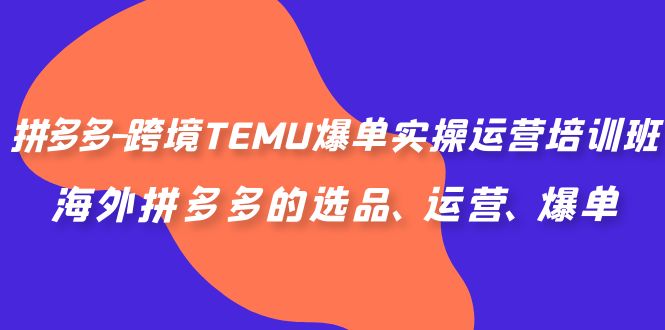 拼多多-跨境TEMU爆单实操运营培训班，海外拼多多的选品、运营、爆单-星辰源码网