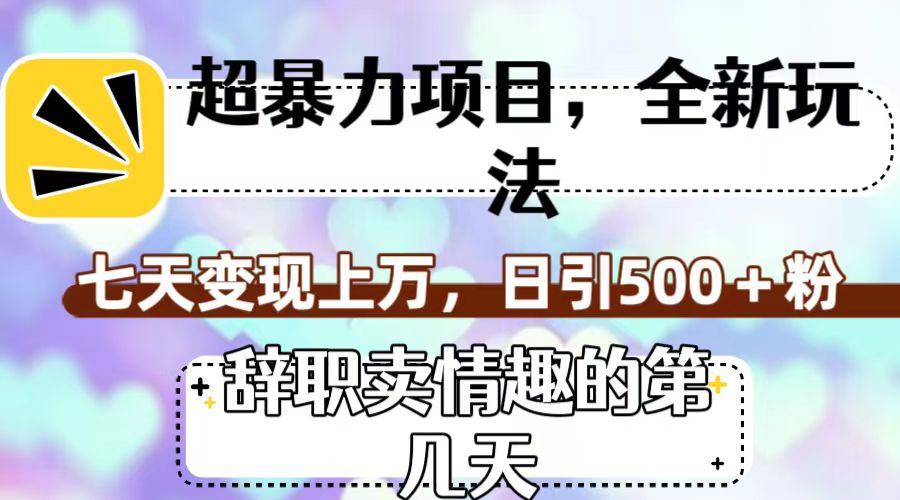 超暴利项目，全新玩法（辞职卖情趣的第几天），七天变现上万，日引500+粉-星辰源码网