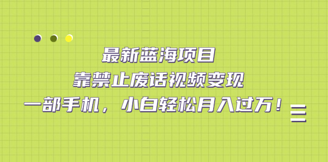 最新蓝海项目，靠禁止废话视频变现，一部手机，小白轻松月入过万！-星辰源码网