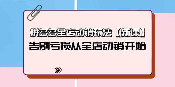 （9974期）拼多多全店动销玩法【新课】，告别亏损从全店动销开始（4节视频课）-星辰源码网