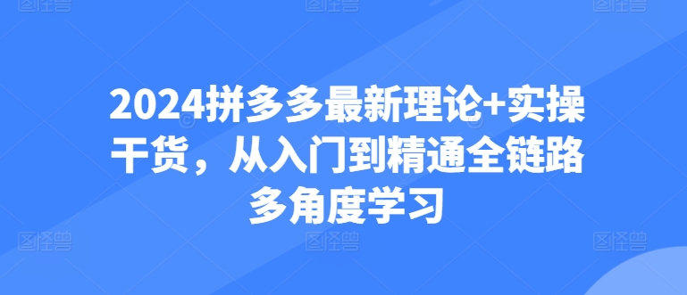 2024拼多多最新理论+实操干货，从入门到精通全链路多角度学习-星辰源码网