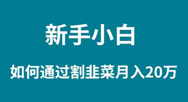 （9308期）新手小白如何通过割韭菜月入 20W-星辰源码网