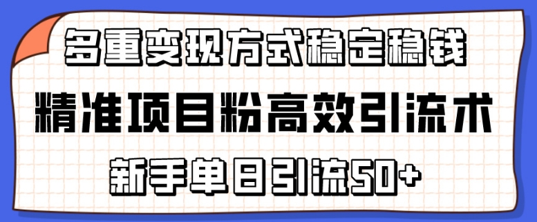 精准项目粉高效引流术，新手单日引流50+，多重变现方式稳定赚钱-星辰源码网