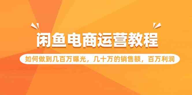 （9560期）闲鱼电商运营教程：如何做到几百万曝光，几十万的销售额，百万利润.-星辰源码网