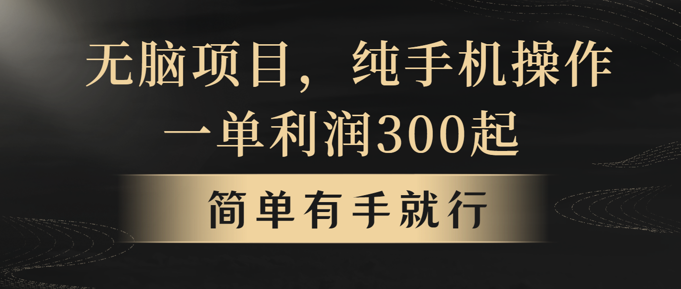 （10699期）无脑项目，一单几百块，轻松月入5w+，看完就能直接操作-星辰源码网