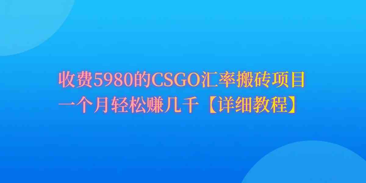 （9776期）CSGO装备搬砖，月综合收益率高达60%，你也可以！-星辰源码网