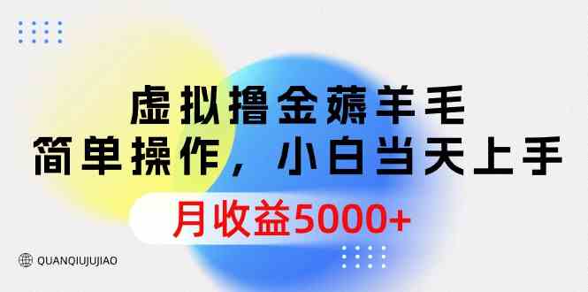 （9864期）虚拟撸金薅羊毛，简单操作，小白当天上手，月收益5000+-星辰源码网