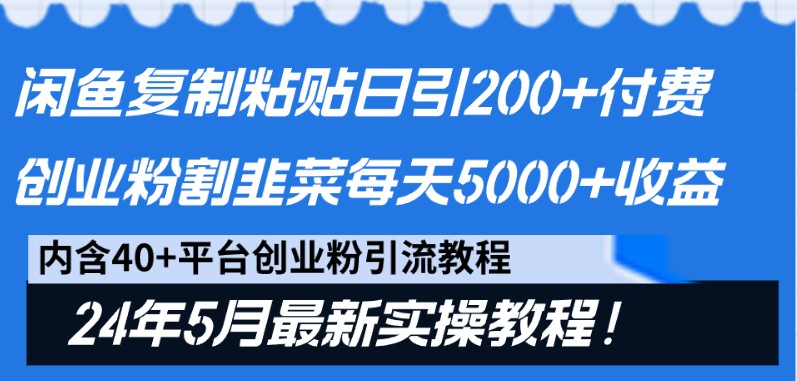 闲鱼复制粘贴日引200+付费创业粉，24年5月最新方法！割韭菜日稳定5000+收益-星辰源码网