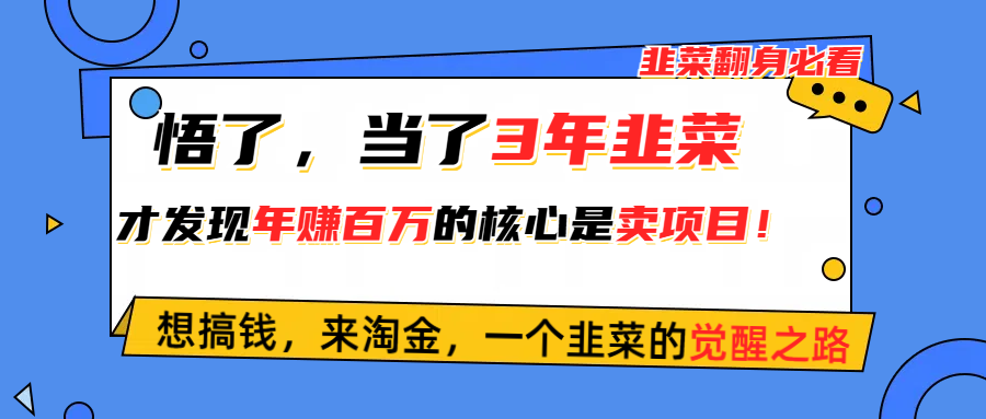 （10759期）悟了，当了3年韭菜，才发现网赚圈年赚100万的核心是卖项目，含泪分享！-星辰源码网