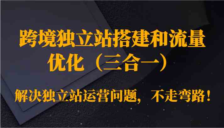 跨境独立站搭建和流量优化（三合一）解决独立站运营问题，不走弯路！-星辰源码网