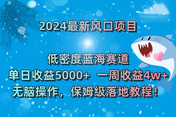 2024最新风口项目 低密度蓝海赛道，日收益5000+周收益4w+ 无脑操作-星辰源码网