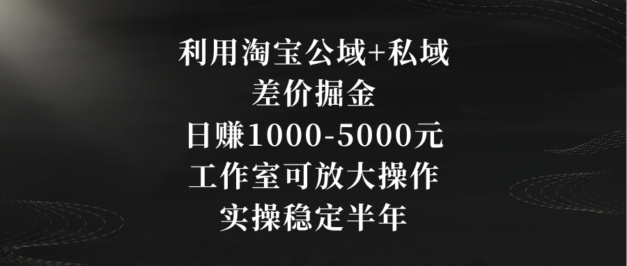 利用淘宝公域+私域差价掘金，日赚1000-5000元，工作室可放大操作，实操…-星辰源码网