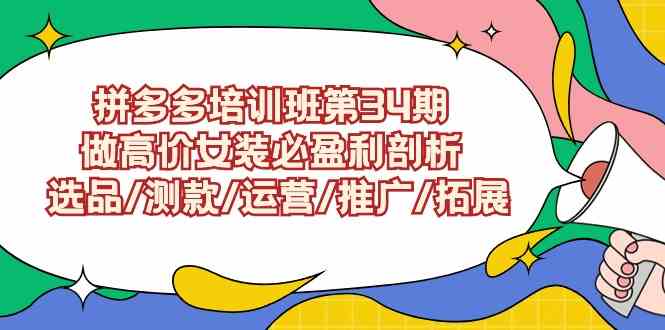 （9333期）拼多多培训班第34期：做高价女装必盈利剖析  选品/测款/运营/推广/拓展-星辰源码网