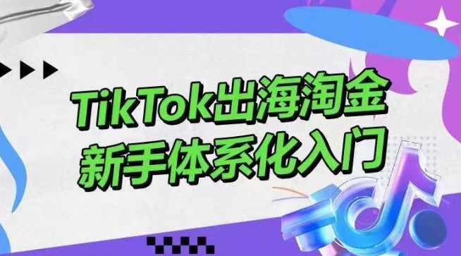 TikTok出海淘金，新手体系化入门，零基础快速入门，掌握短视频、直播带货等引流到变现的知识-星辰源码网