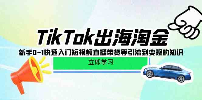 （10035期）TikTok-出海淘金，新手0-1快速入门短视频直播带货等引流到变现的知识-星辰源码网