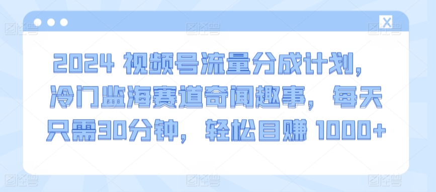 2024视频号流量分成计划，冷门监海赛道奇闻趣事，每天只需30分钟，轻松目赚 1000+-星辰源码网