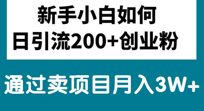 （10843期）新手小白日引流200+创业粉,通过卖项目月入3W+-星辰源码网