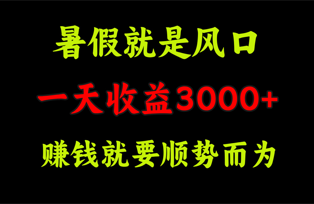 一天收益3000+ 赚钱就是顺势而为，暑假就是风口-星辰源码网