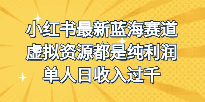 外面收费1980的小红书最新蓝海赛道，虚拟资源都是纯利润，单人日收入过千-星辰源码网