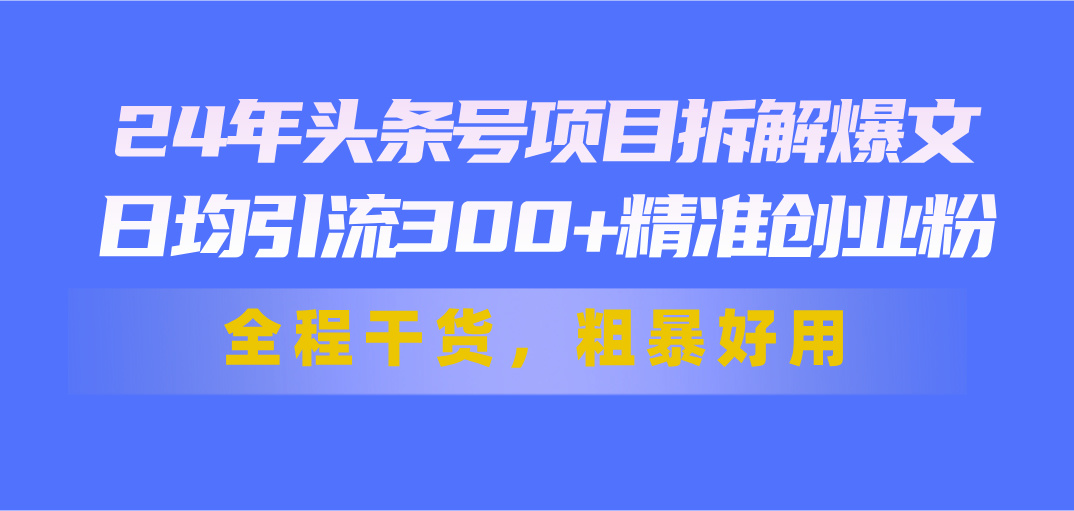 24年头条号项目拆解爆文，日均引流300+精准创业粉，全程干货，粗暴好用-星辰源码网