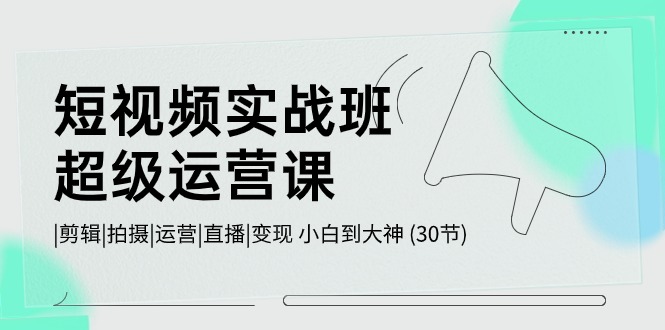 短视频实战班超级运营课 |剪辑|拍摄|运营|直播|变现 小白到大神 (30节)-星辰源码网