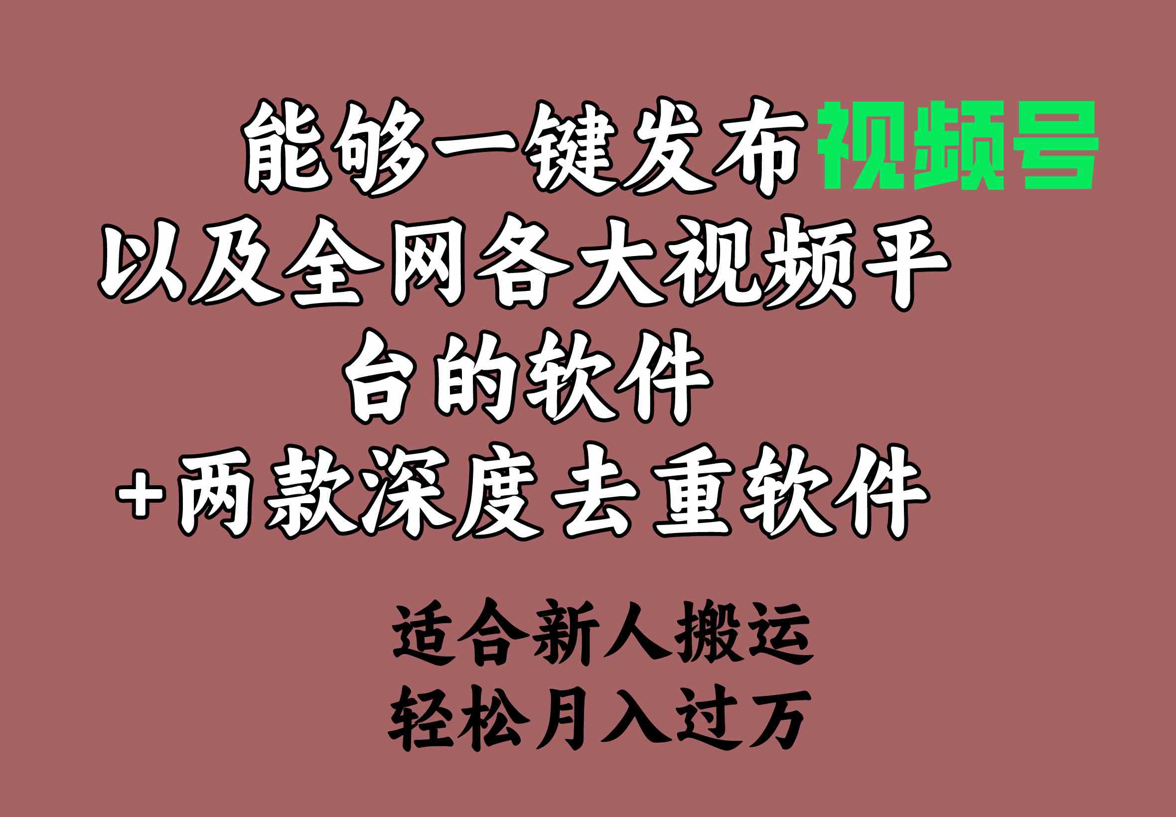 （9319期）能够一键发布视频号以及全网各大视频平台的软件+两款深度去重软件 适合…-星辰源码网