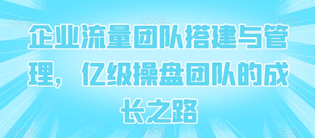 企业流量团队搭建与管理，亿级操盘团队的成长之路-星辰源码网