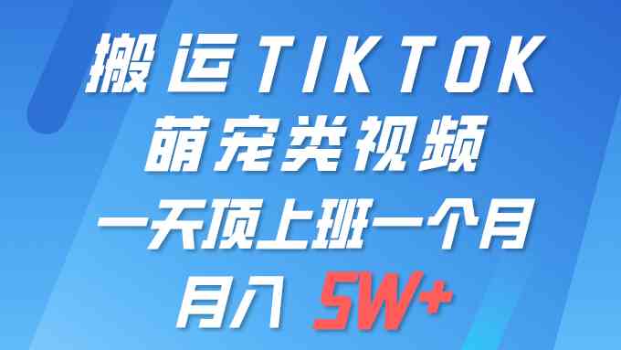 （9931期）一键搬运TIKTOK萌宠类视频 一部手机即可操作 所有平台均可发布 轻松月入5W+-星辰源码网